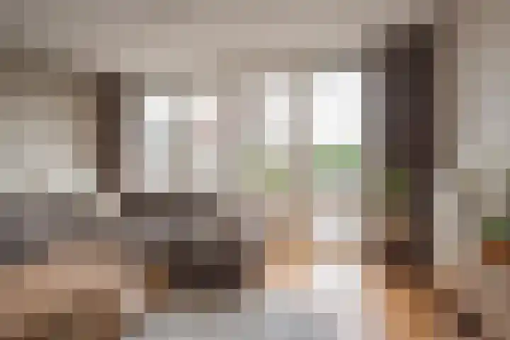 Rotsvlinder 30 Nijkerk thumbnail 4