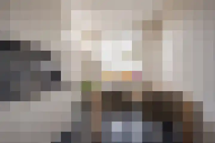 Rotsvlinder 30 Nijkerk thumbnail 9