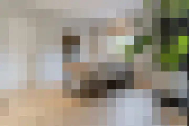 Rotsvlinderhof 13 Oosterhout thumbnail 10