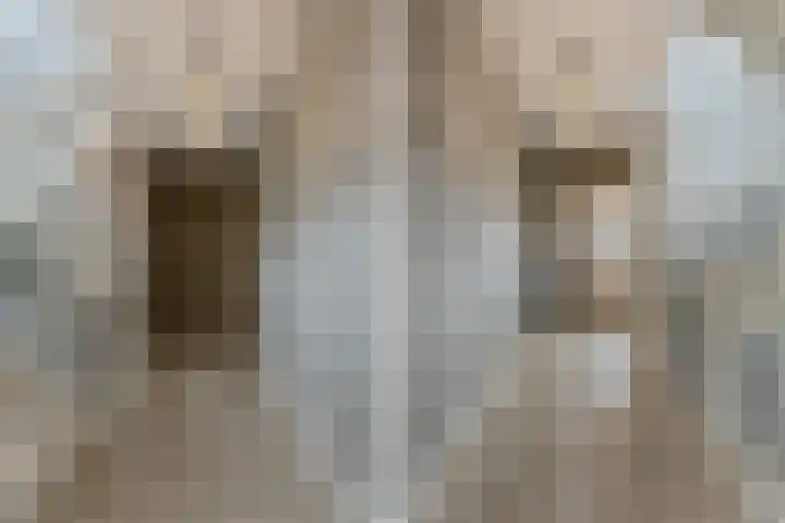 Rotsvlinderhof 13 Oosterhout thumbnail 18