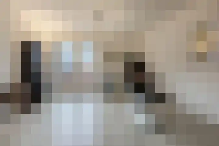 Rotsvlinderhof 13 Oosterhout thumbnail 21