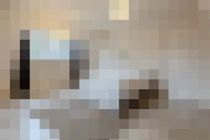 Rotsvlinderhof 13 Oosterhout thumbnail 36