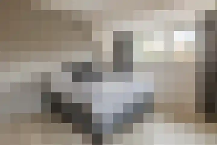 Rotsvlinderhof 13 Oosterhout thumbnail 38