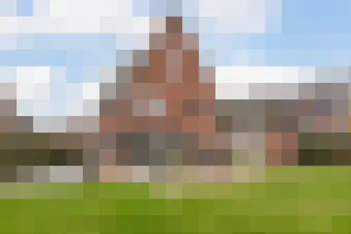 Rotsvlinderhof 13 Oosterhout thumbnail 51