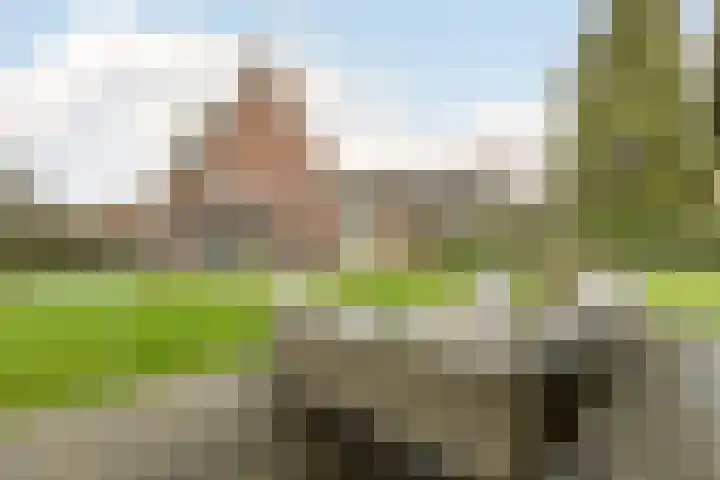 Rotsvlinderhof 13 Oosterhout thumbnail 52
