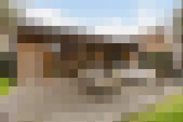 Rotsvlinderhof 13 Oosterhout thumbnail 56
