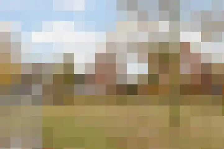 Rotsvlinderhof 13 Oosterhout thumbnail 64
