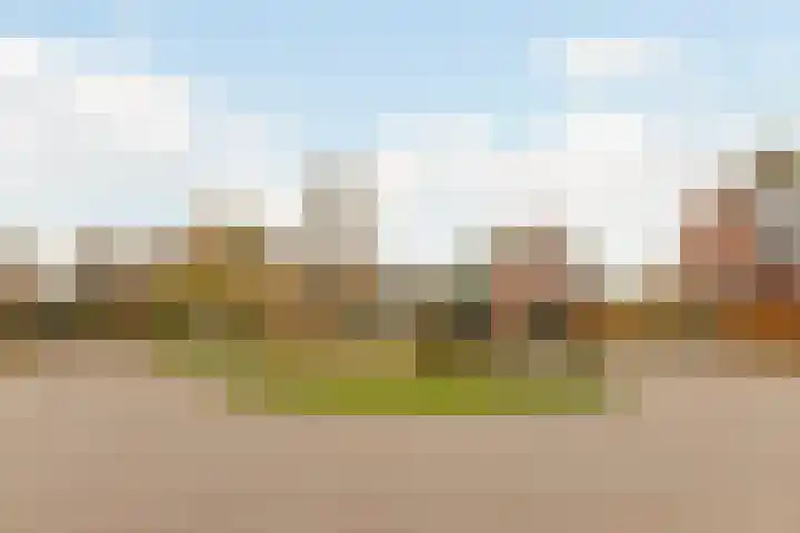 Rotsvlinderhof 13 Oosterhout thumbnail 66