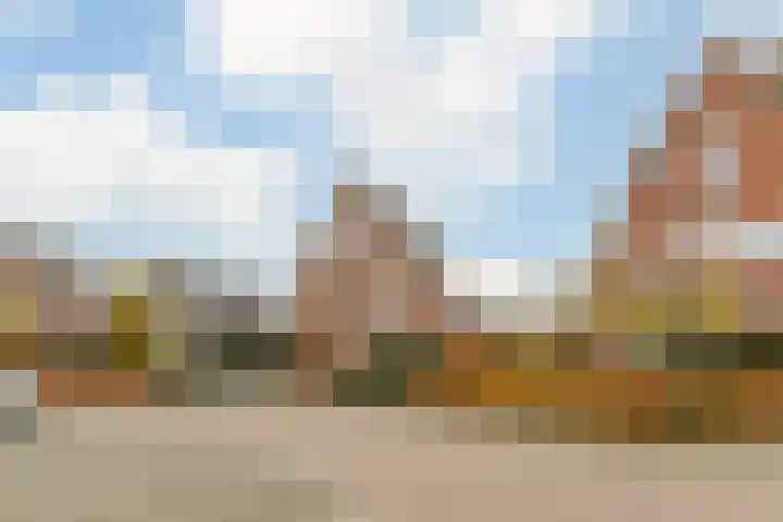 Rotsvlinderhof 13 Oosterhout thumbnail 67