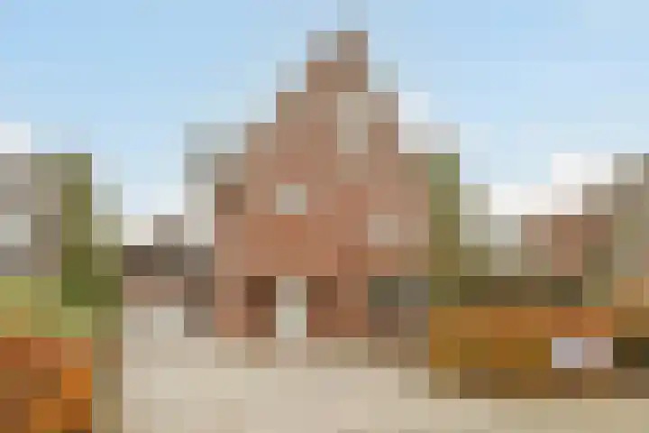 Rotsvlinderhof 13 Oosterhout thumbnail 68