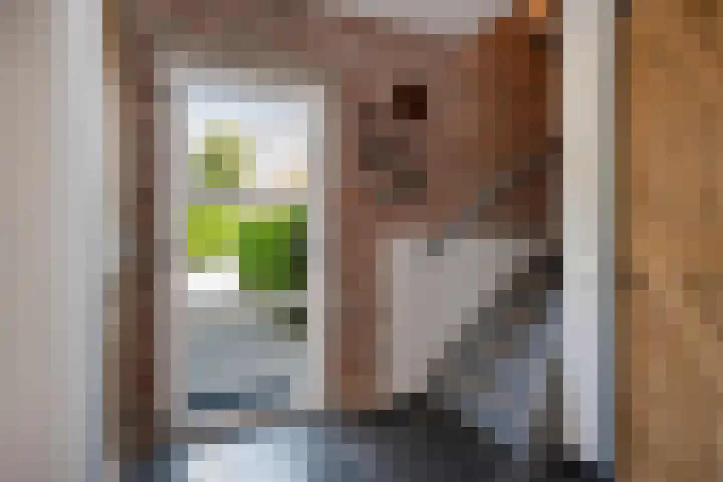 Rott 31 Vijlen thumbnail 18