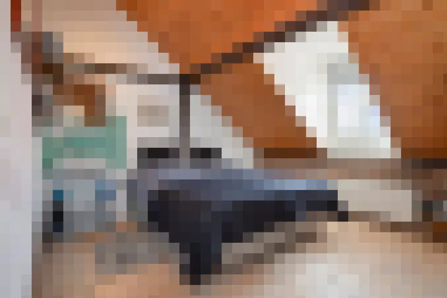Rott 31 Vijlen thumbnail 26
