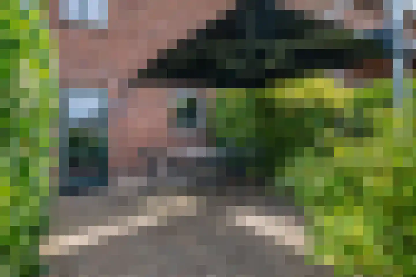 Rott 31 Vijlen thumbnail 50