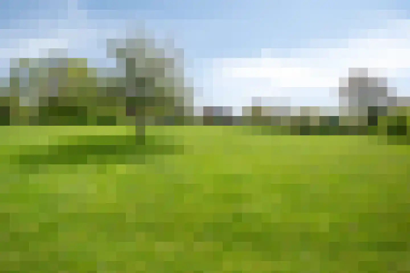 Rott 31 Vijlen thumbnail 58