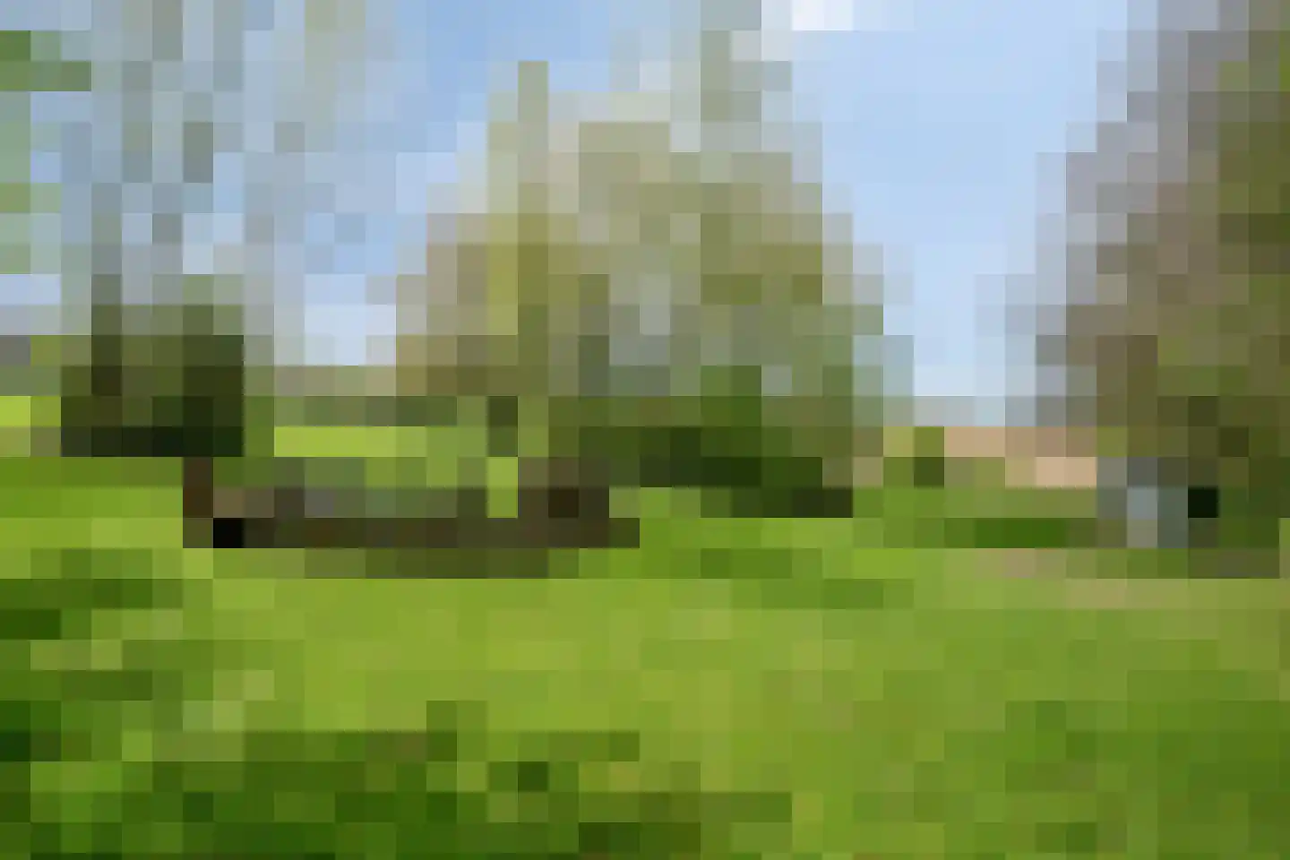 Rott 31 Vijlen thumbnail 59