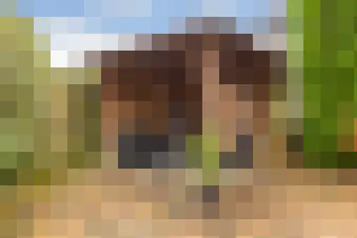 Rotte 7 De Meern thumbnail 12