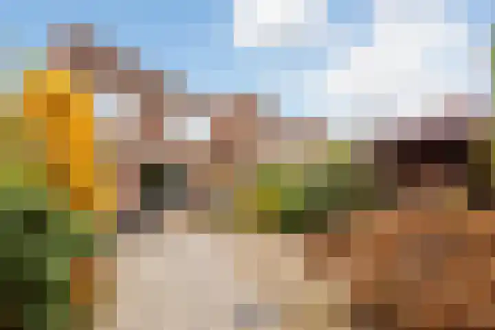 Rotte 7 De Meern thumbnail 13