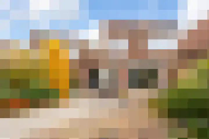 Rotte 7 De Meern thumbnail 14