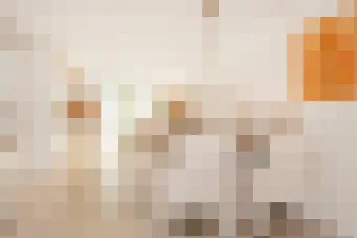 Rotte 7 De Meern thumbnail 19