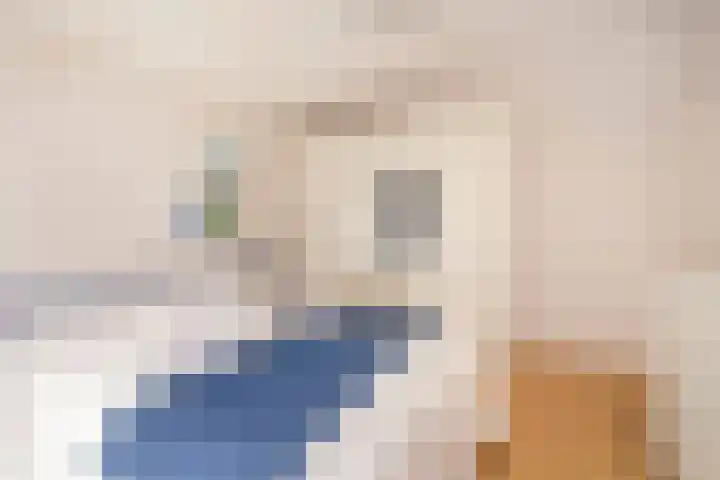 Rotte 7 De Meern thumbnail 32