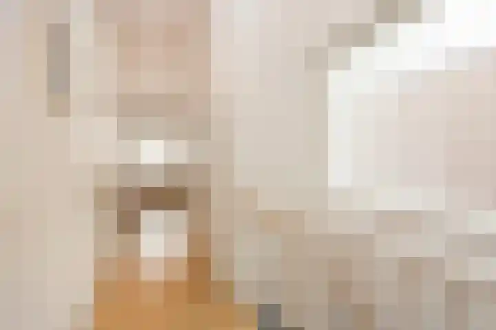Rotte 7 De Meern thumbnail 38