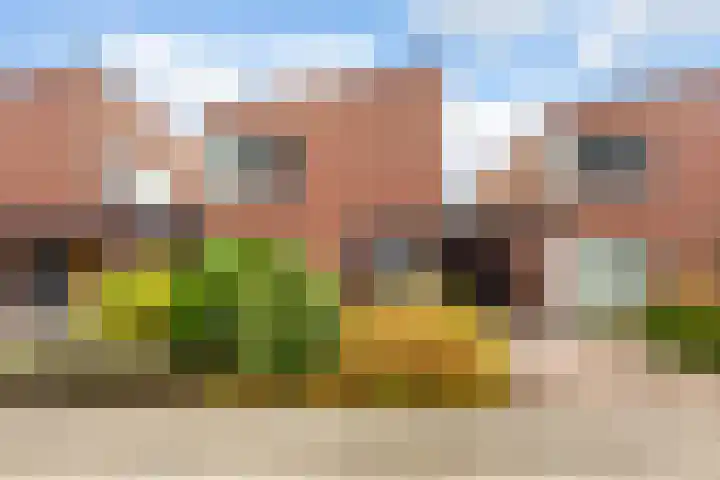Rotte 7 De Meern thumbnail 47