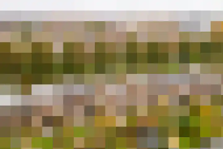 Rotte 7 De Meern thumbnail 50