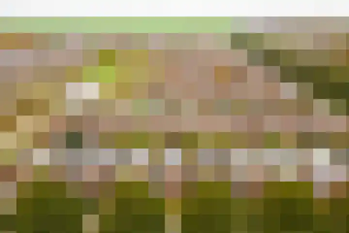 Rotte 7 De Meern thumbnail 51