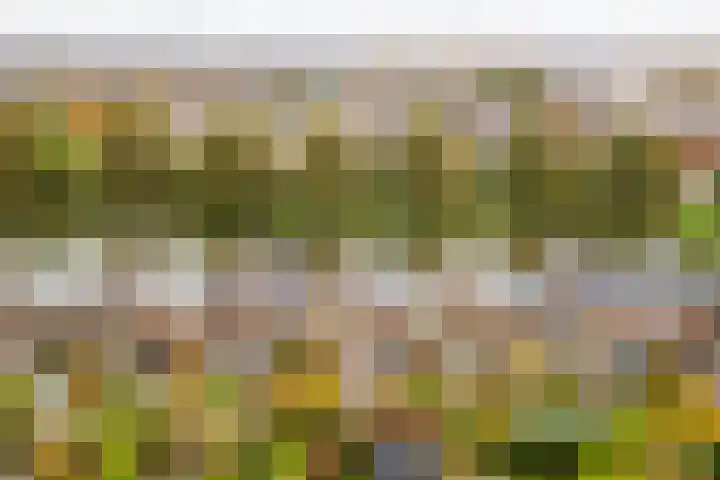 Rotte 7 De Meern thumbnail 52