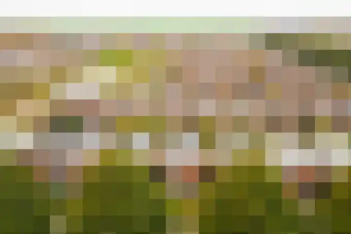Rotte 7 De Meern thumbnail 53