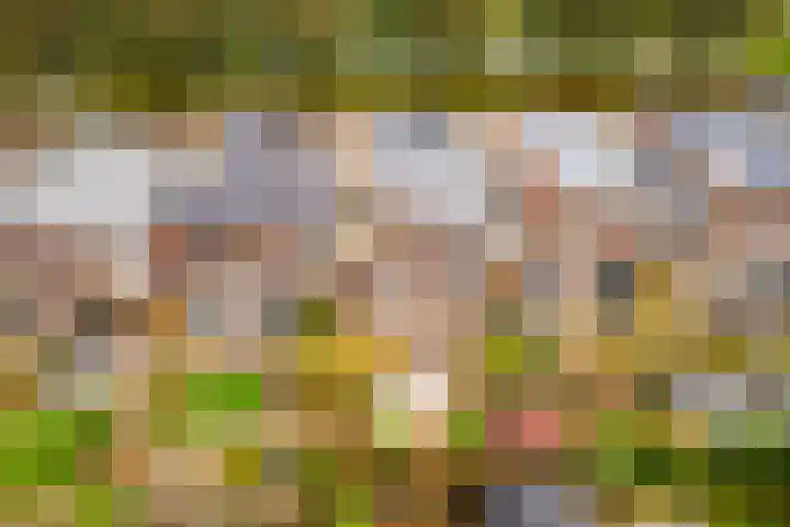 Rotte 7 De Meern thumbnail 54