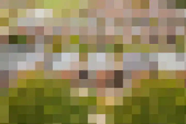 Rotte 7 De Meern thumbnail 55