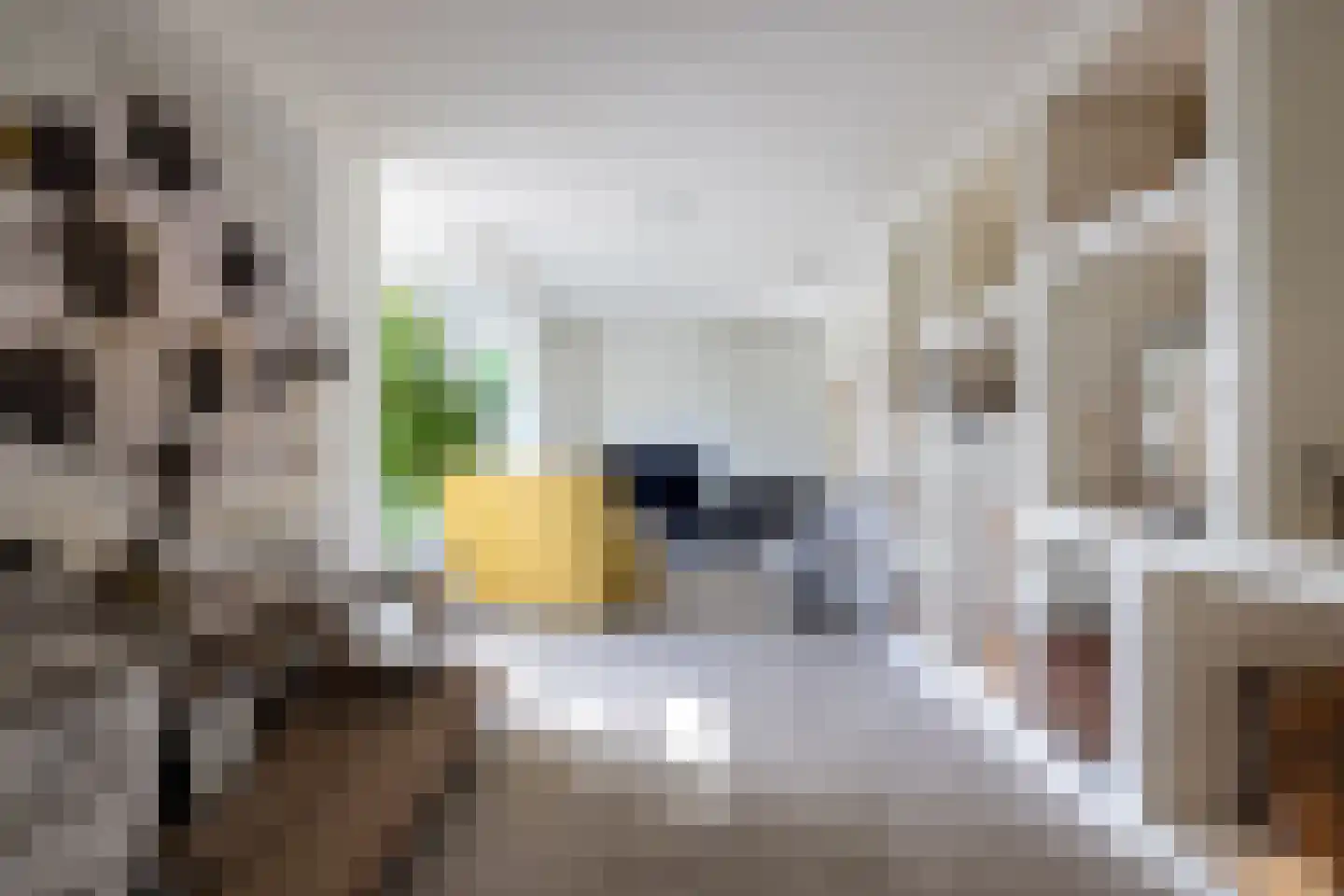 Rottekade 12 Zevenhuizen thumbnail 10