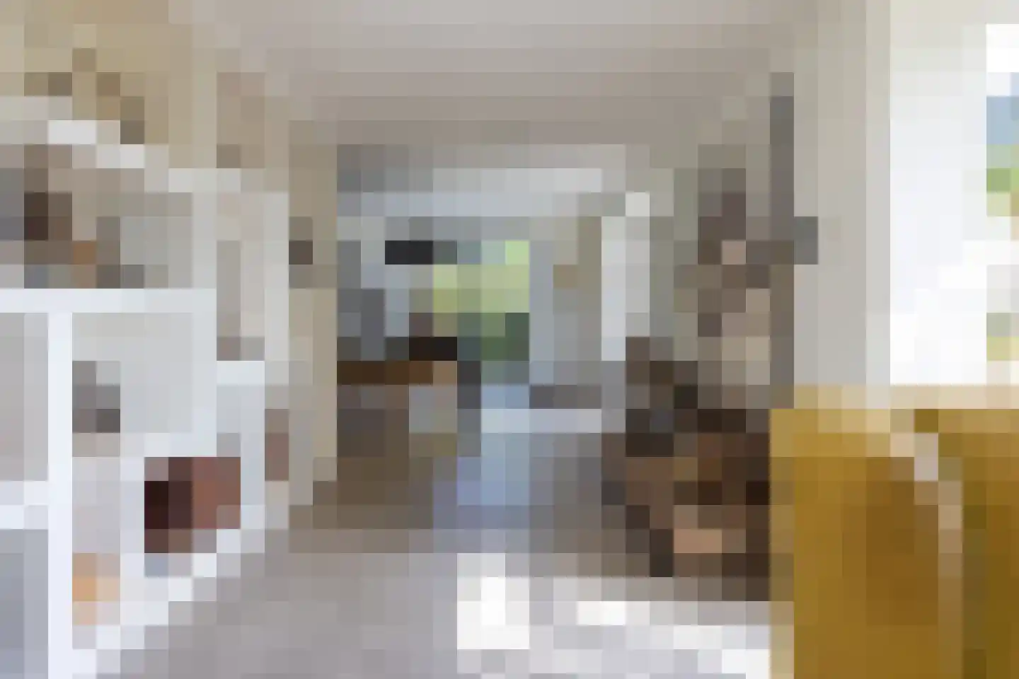 Rottekade 12 Zevenhuizen thumbnail 12