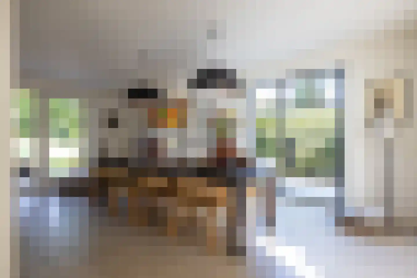 Rottekade 12 Zevenhuizen thumbnail 13