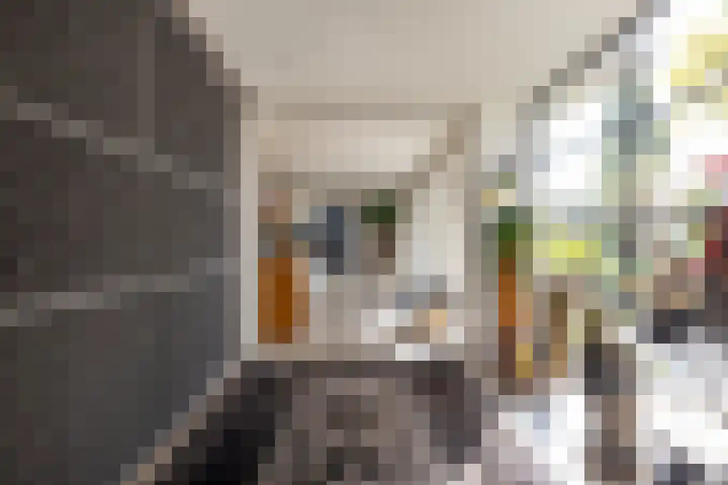 Rottekade 12 Zevenhuizen thumbnail 17