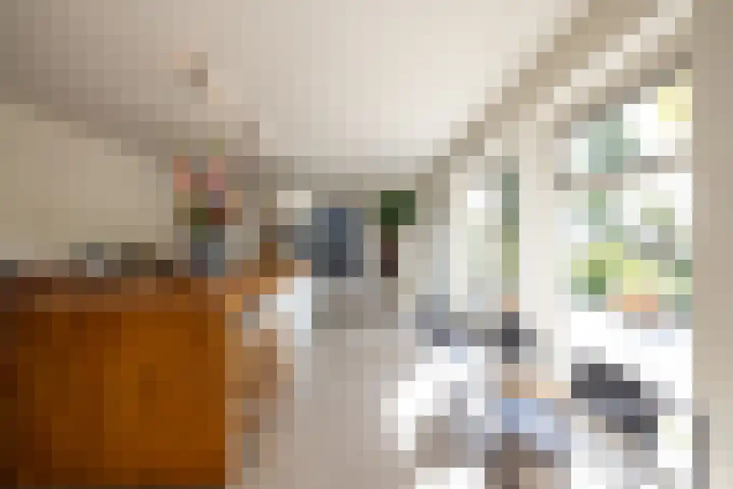 Rottekade 12 Zevenhuizen thumbnail 18