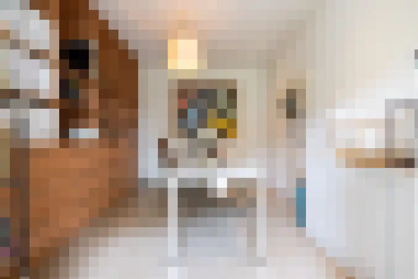 Rottekade 12 Zevenhuizen thumbnail 25