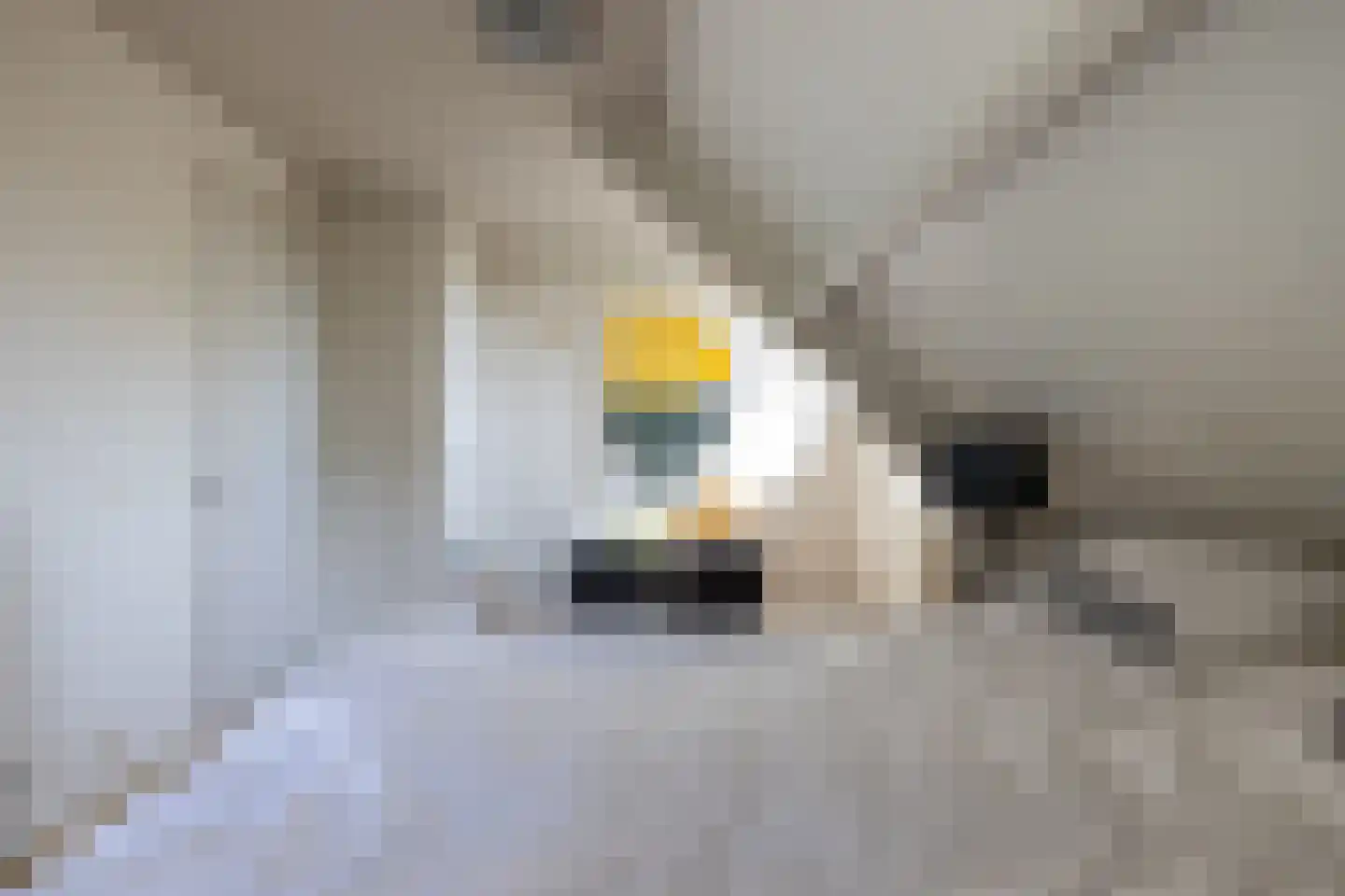 Rottekade 12 Zevenhuizen thumbnail 29