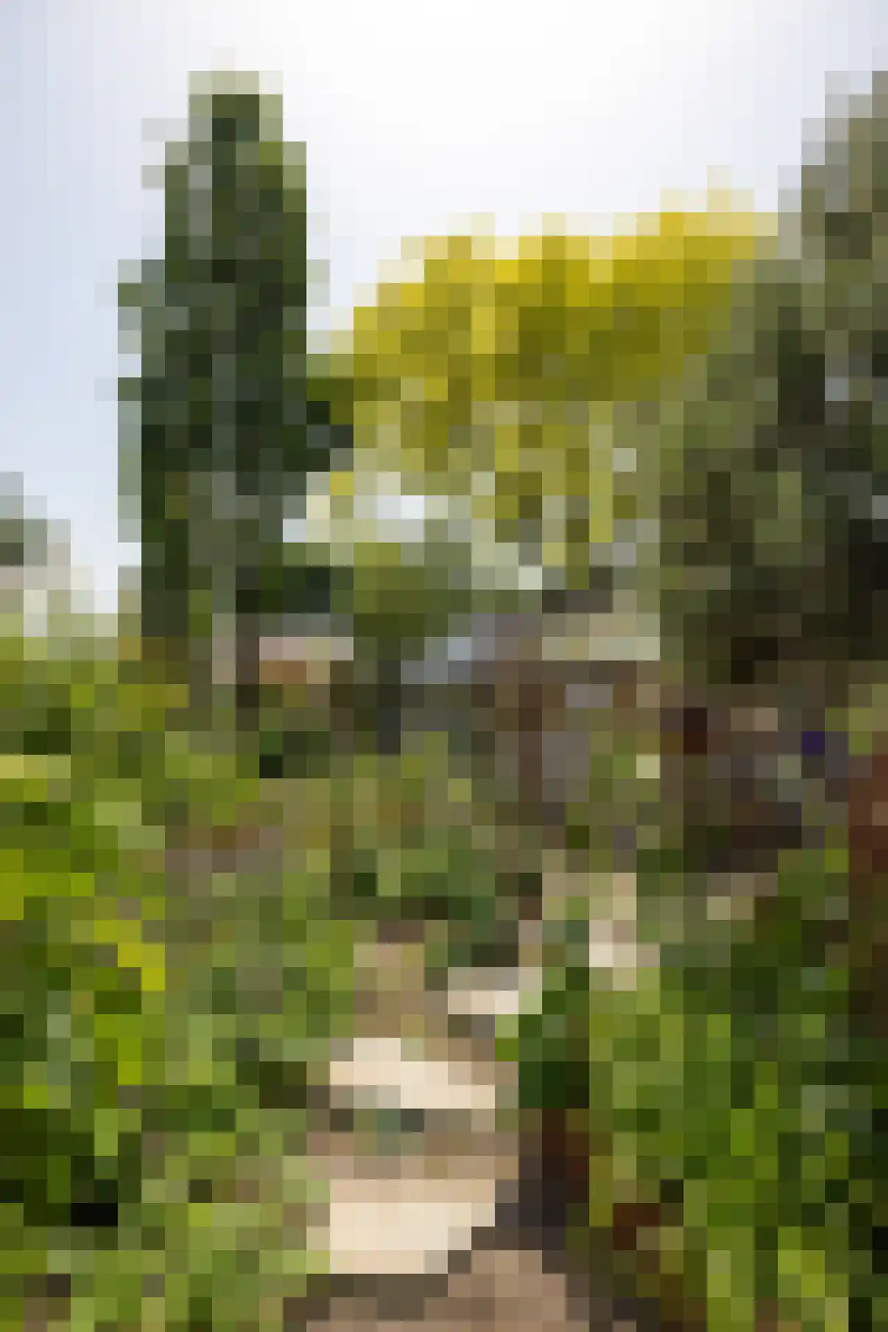 Rottekade 12 Zevenhuizen thumbnail 38