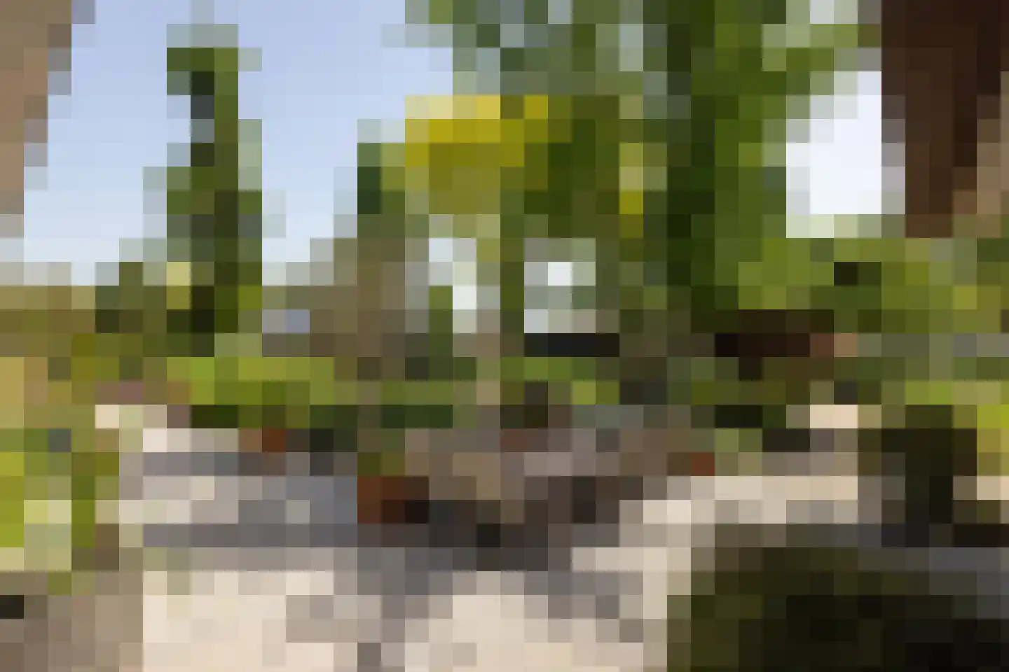 Rottekade 12 Zevenhuizen thumbnail 39