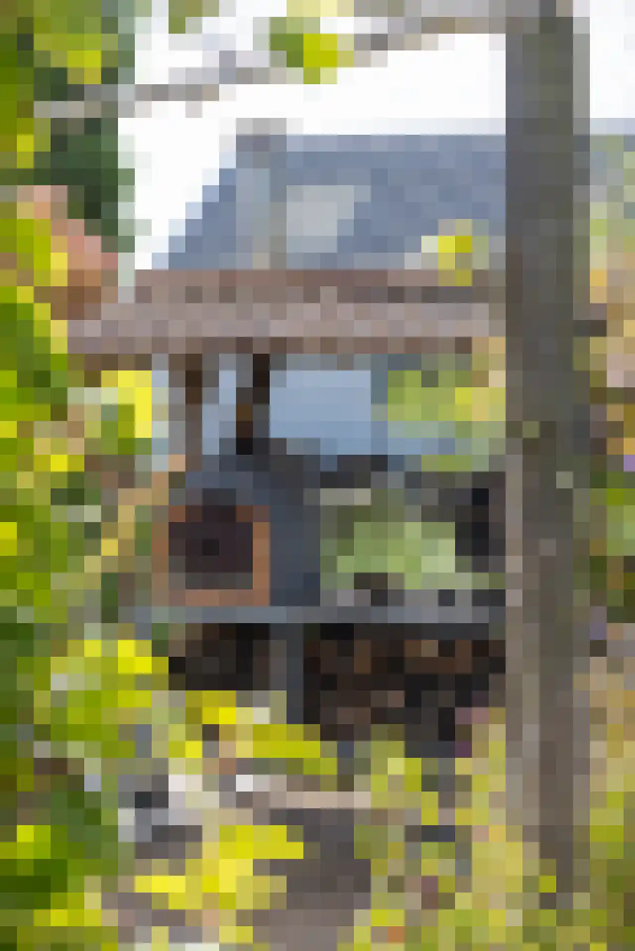 Rottekade 12 Zevenhuizen thumbnail 45
