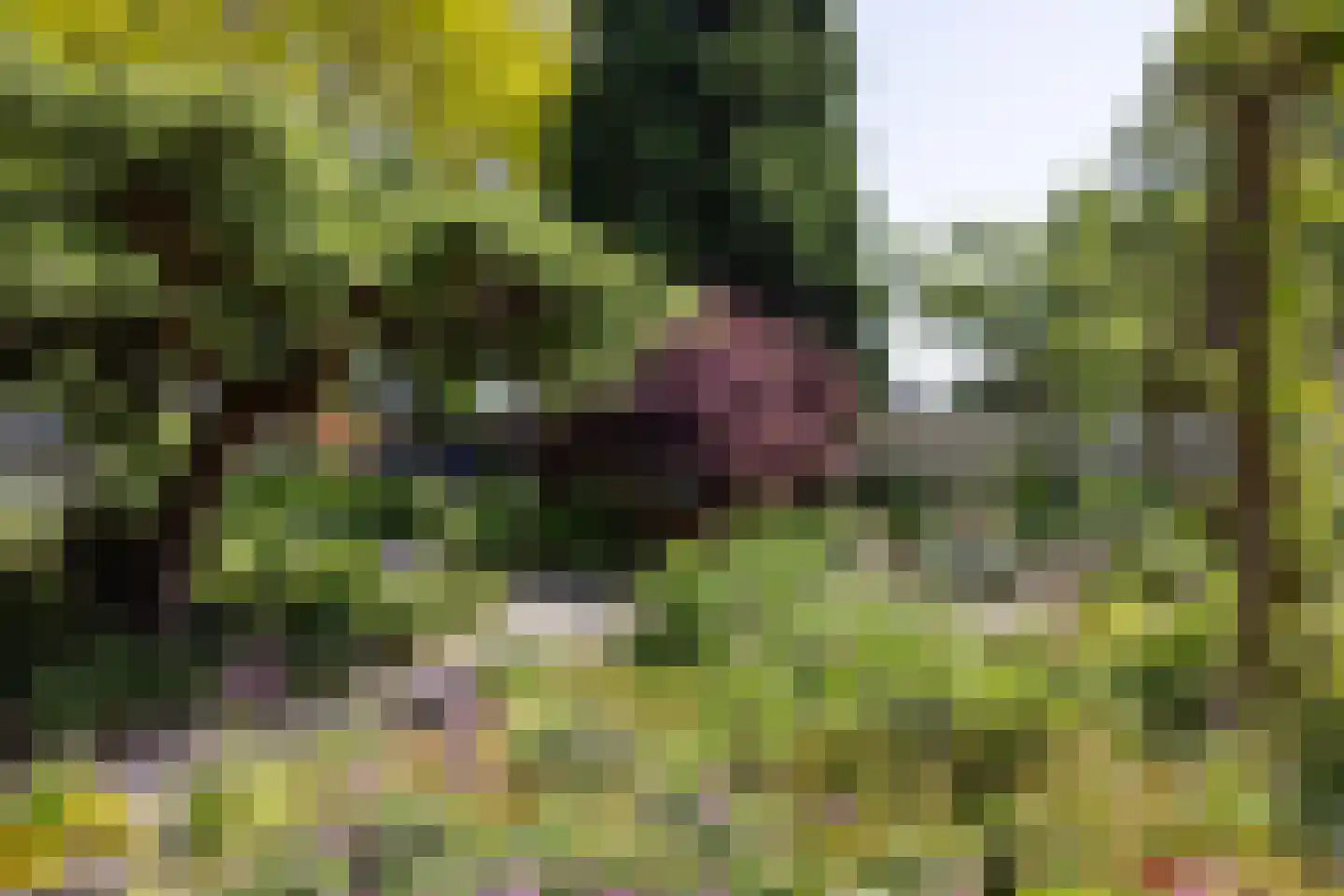 Rottekade 12 Zevenhuizen thumbnail 49