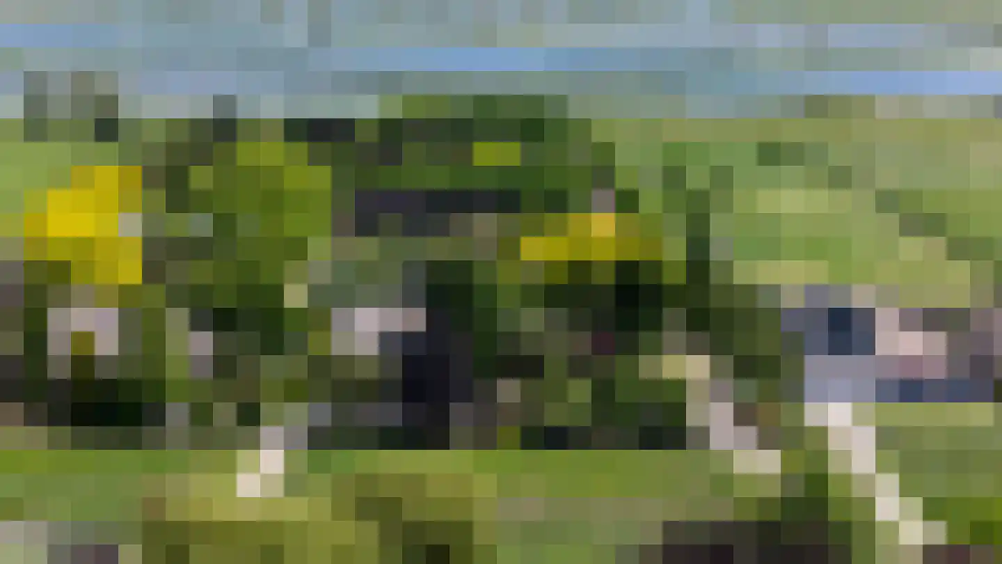 Rottekade 12 Zevenhuizen thumbnail 59