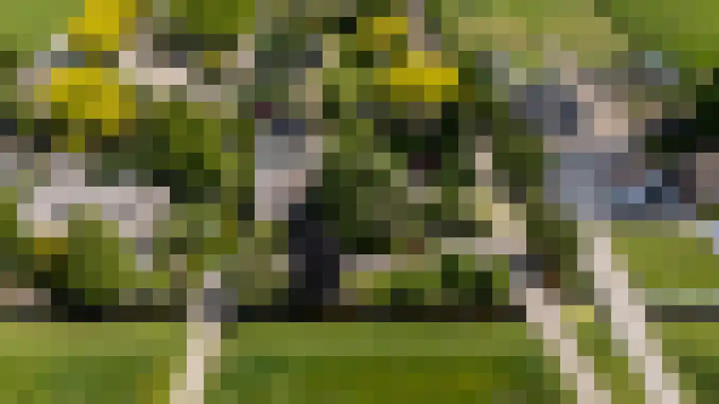 Rottekade 12 Zevenhuizen thumbnail 60