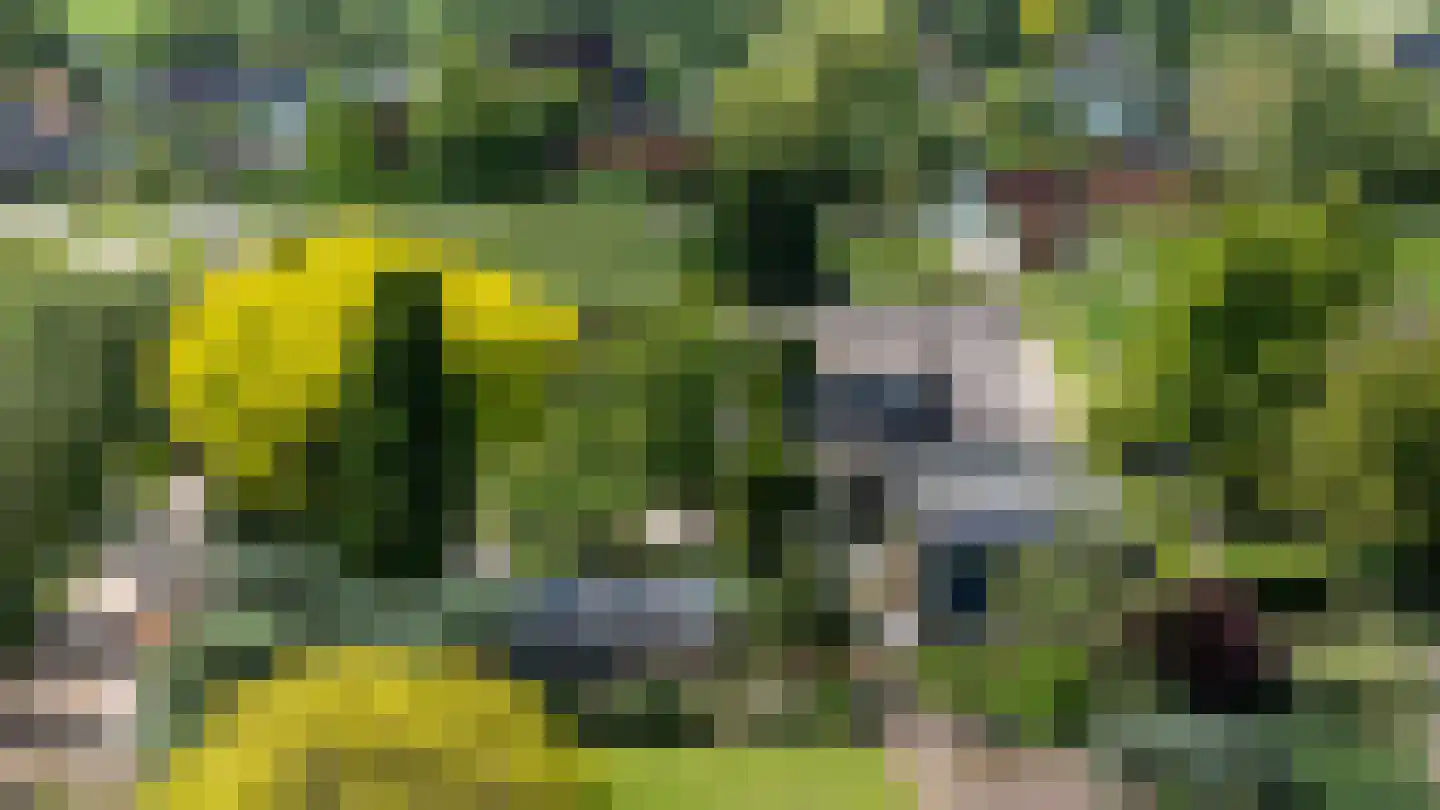 Rottekade 12 Zevenhuizen thumbnail 62