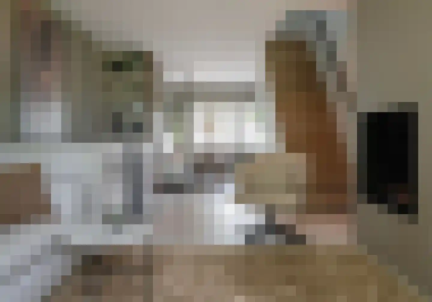 Rottekade 159 Bergschenhoek thumbnail 21