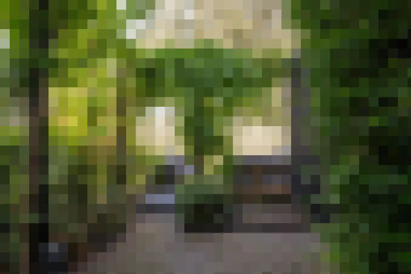 Rottekade 159 Bergschenhoek thumbnail 42