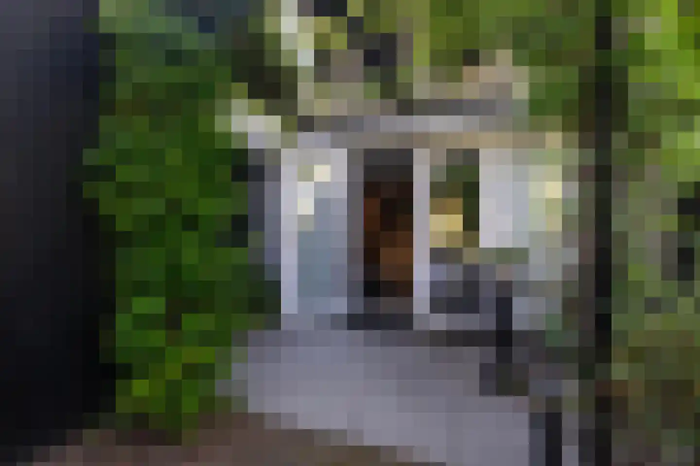 Rottekade 159 Bergschenhoek thumbnail 46