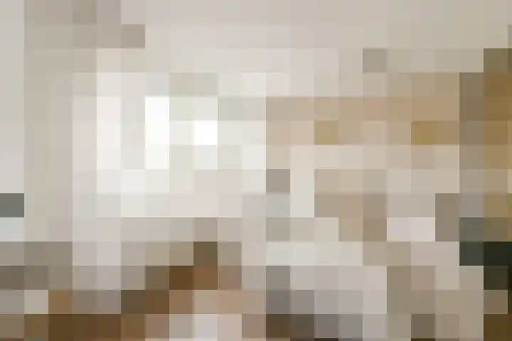 Rottekade 165 Bergschenhoek thumbnail 14